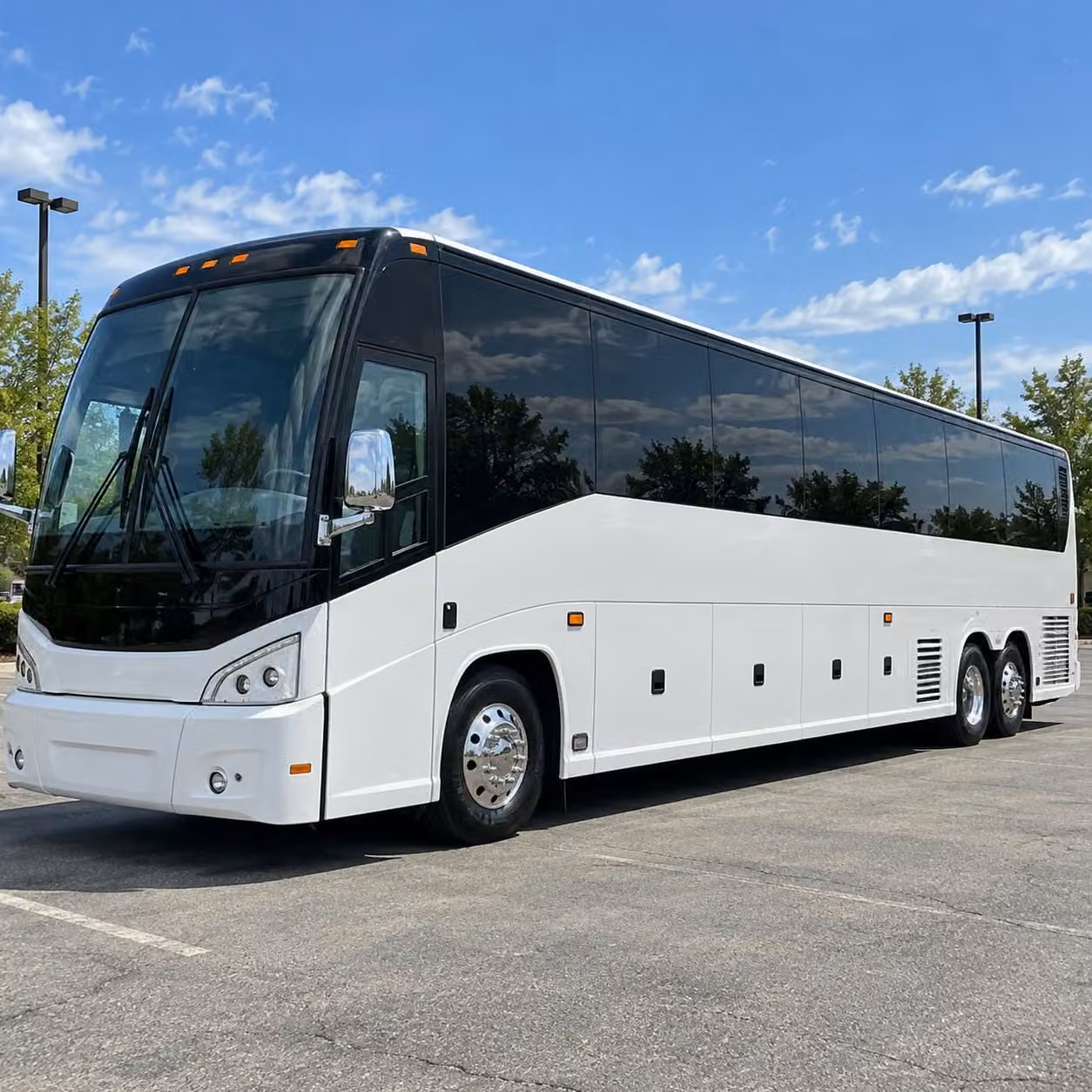 56 passenger charter bus